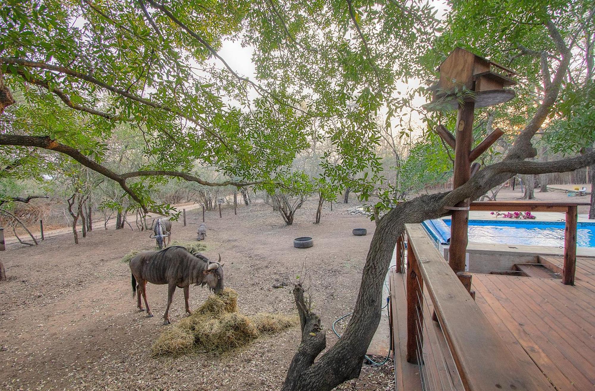 Holiday home Lazy@kruger Marloth Park