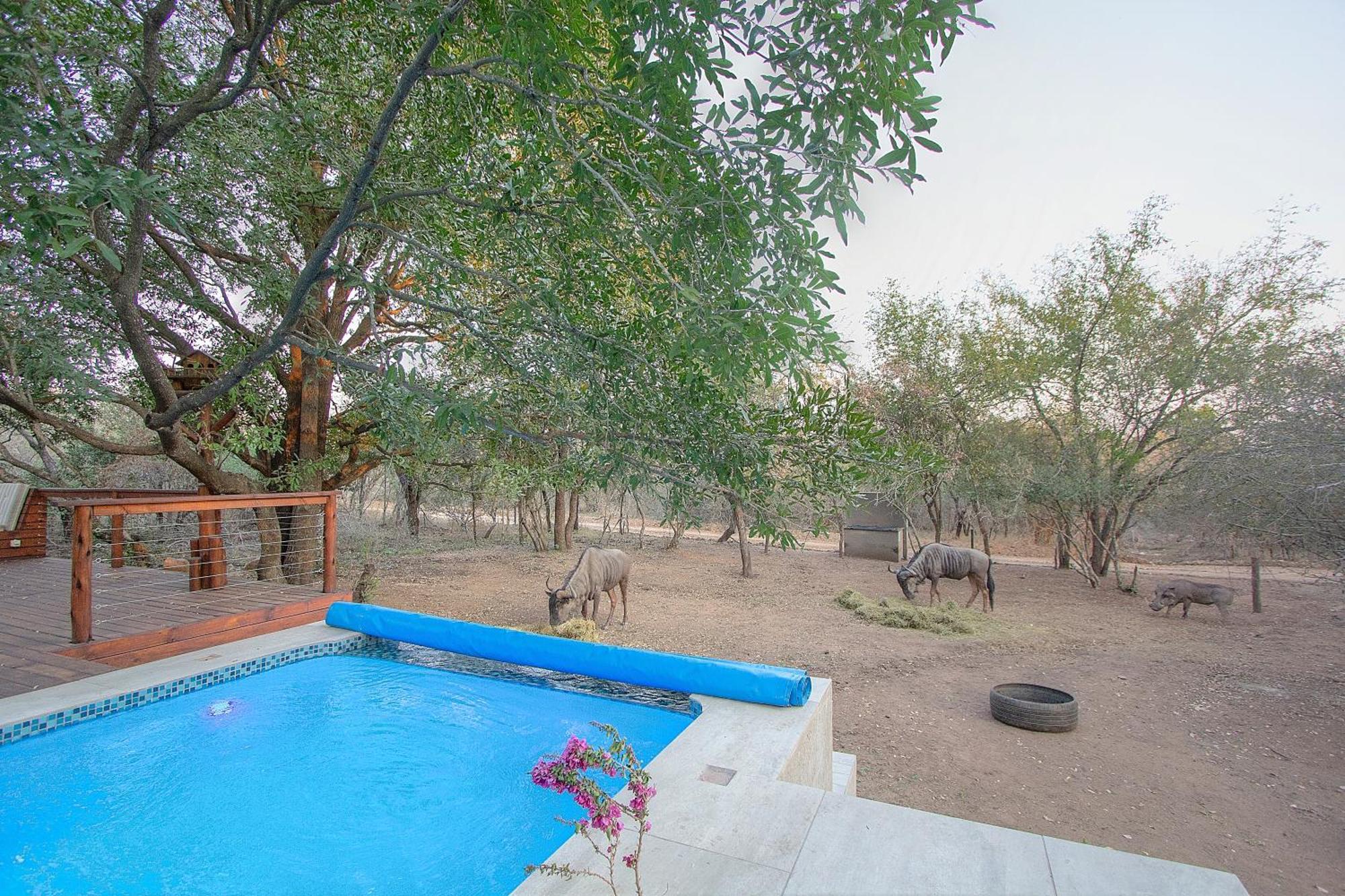 Lazy@kruger Holiday home Marloth Park